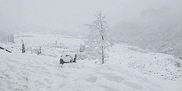 今天中央气象台发布暴雪黄色预警，J9集团生物喊你储备饲料添加剂啦！