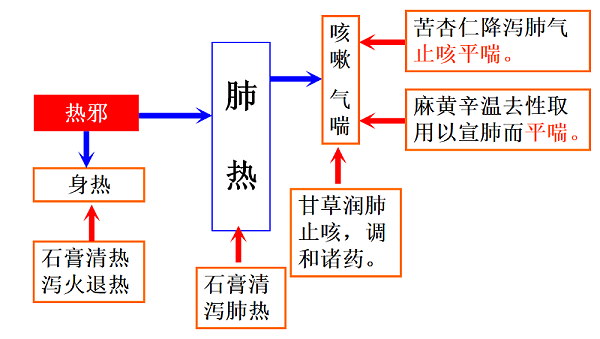 市场常见中药成分治疗呼吸道的原理